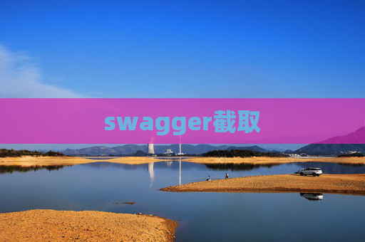 swagger截取